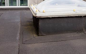 disadvantages of Seagoe flat roofs