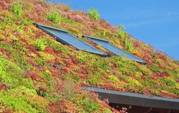 Seagoe living roof systems