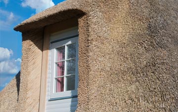Seagoe thatch roof disadvantages