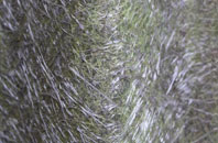 Seagoe fibreglass roof work