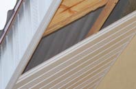 rated Seagoe soffit repair companies